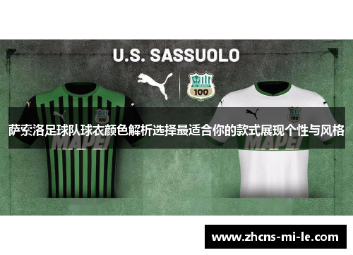 萨索洛足球队球衣颜色解析选择最适合你的款式展现个性与风格